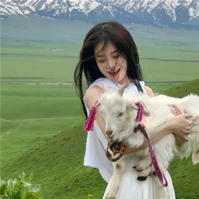 怪诞黑家族