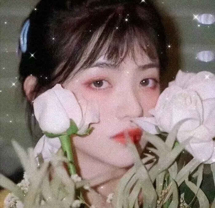 为黛茜小姐开车